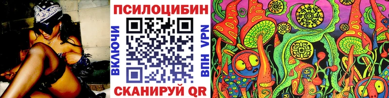 Купить закладки  Пучеж  Галлюциногенные грибы Psilocybe 