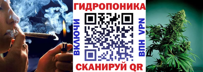 МАРИХУАНА OG Kush  Купить закладки  Пучеж 